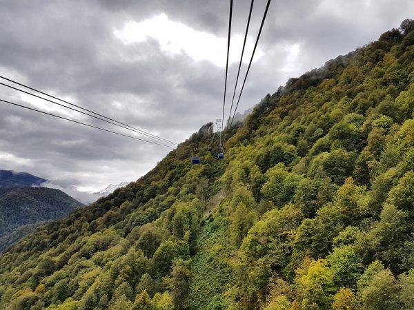 Экскурсия в Абхазию