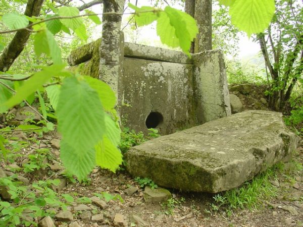 Скидка в океанариум - 50 руб от цены билета