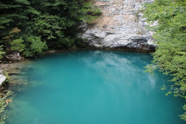 Экскурсия в Абхазию