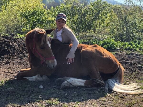 Прогулки на лошадях в горах