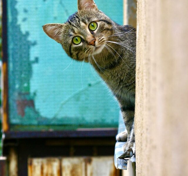 Поиск в труднодоступных местах Поиск в труднодоступных местах