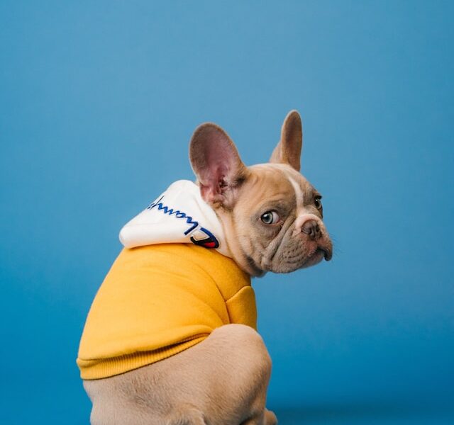 Установка камер для поиска Установка камер для поиска